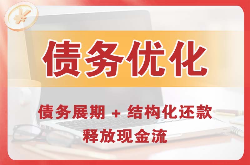 临潼债务优化