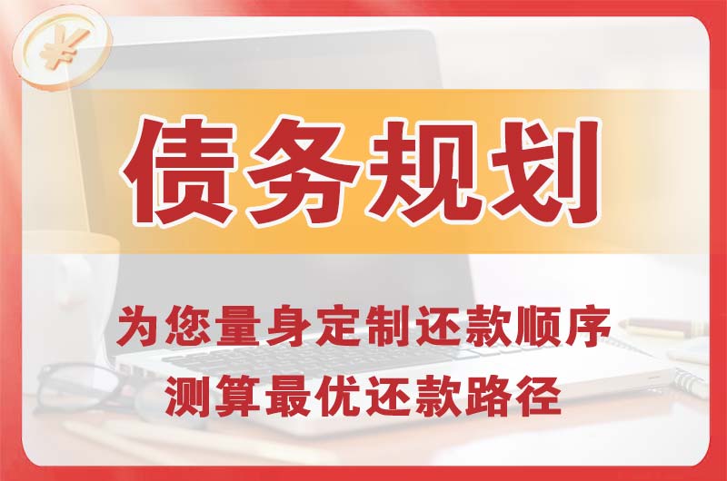临潼债务规划